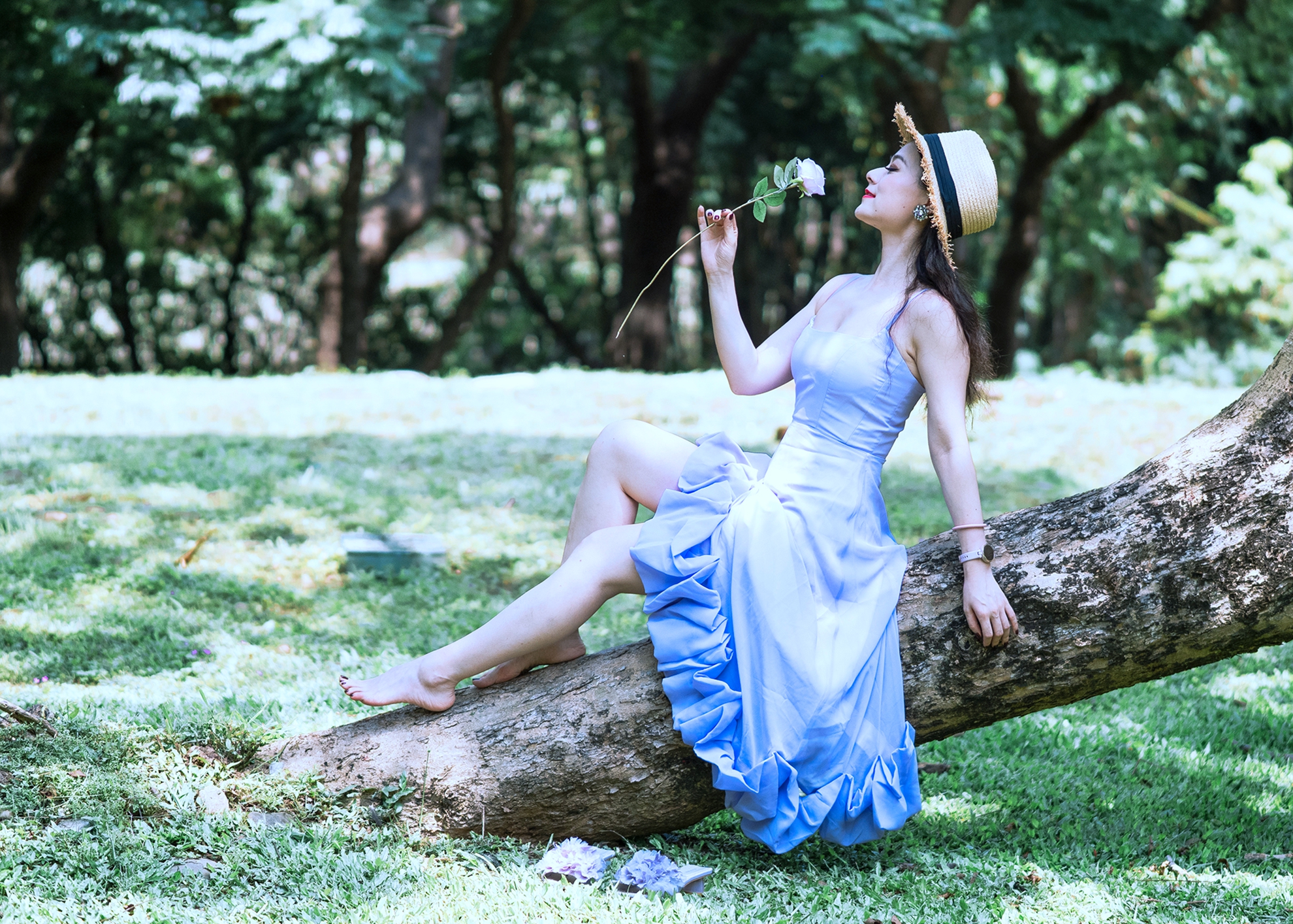 入選  何為今-巧笑倩兮